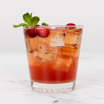 Mint Cranberry Ginger Mocktail