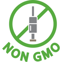 No GMO