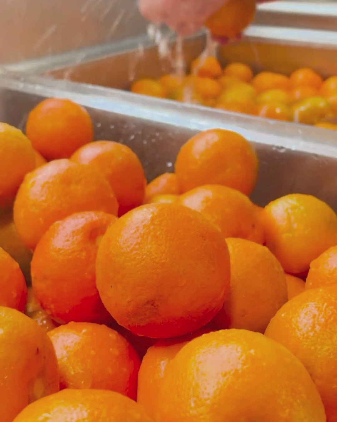 Seville Orange Marmalade – Blake Hill Preserves