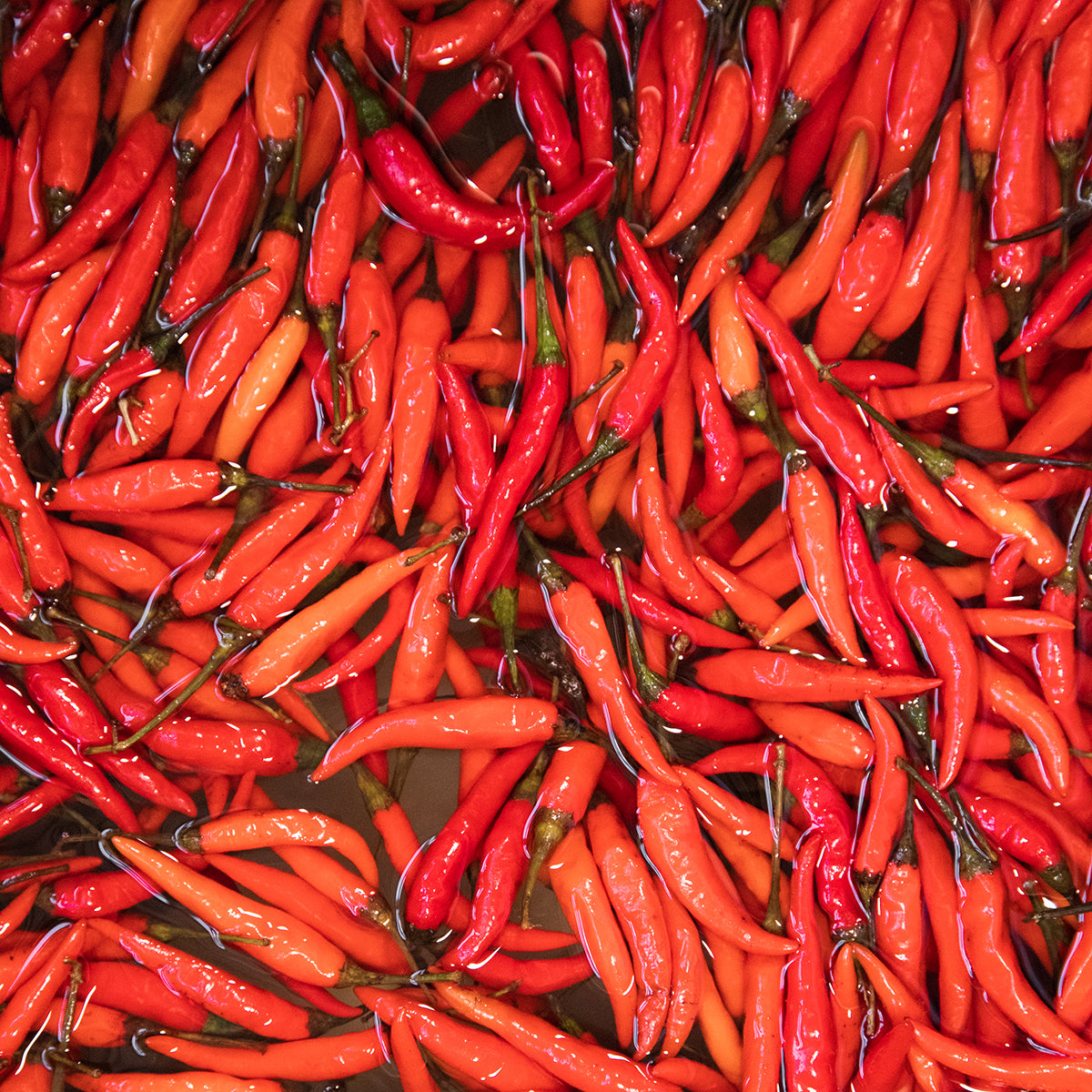 Fresno & Thai Spicy Chili Jam – Blake Hill Preserves