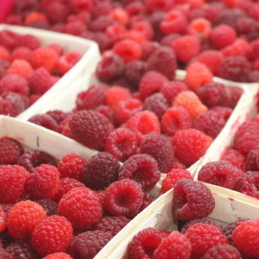 UPDATEDSQUAREIMAGERASPBERRIES_1200x1200.jpg?v=1641320246